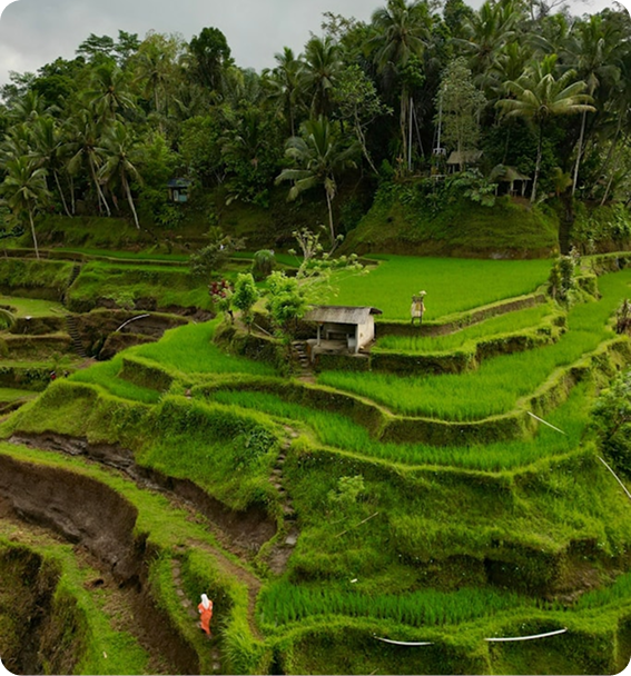 About the Catalyst Platform